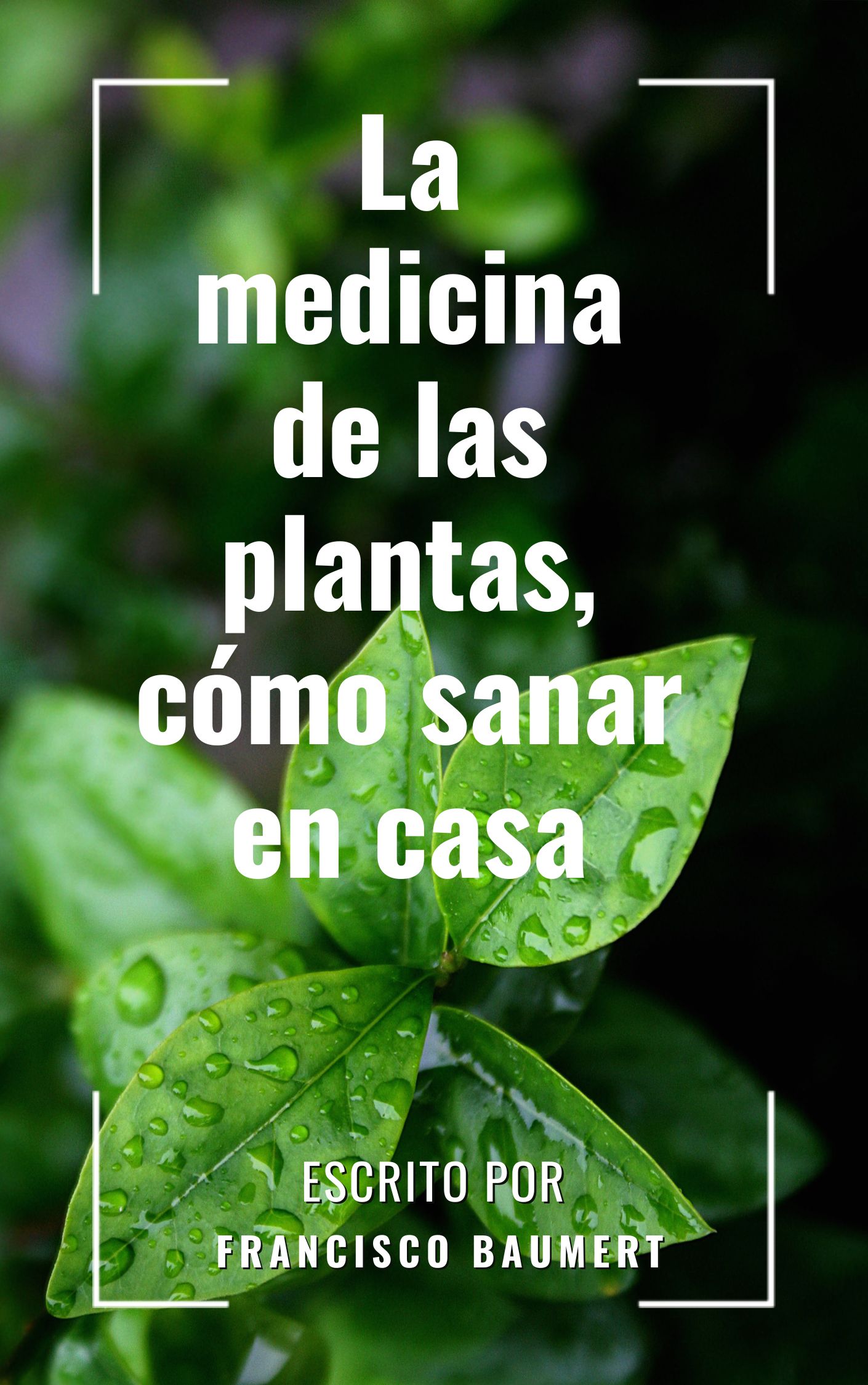 La medicina de las plantas, cómo sanar en casa