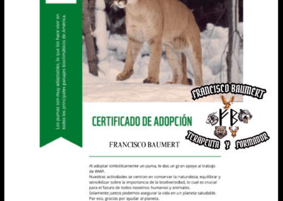 En apoyo a la protección del puma